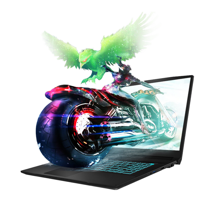 MSI 브라보 17 라이젠7 라이젠 7000 시리즈 지포스 RTX 4060, 블랙, 1TB, 16GB, Free DOS, D7VF