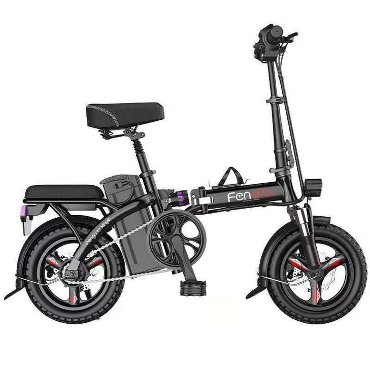 안티프래질 접이식 전기 자전거,48 ,14 인치,리튬,소형 자동차, 48V8A40KM