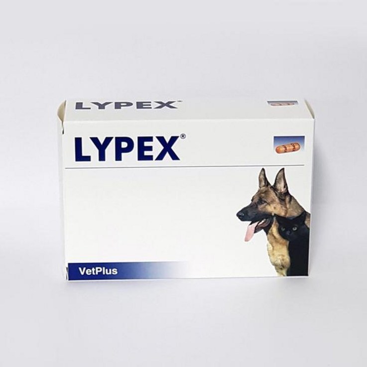 [벳플러스] 라이펙스 60캡슐 - 강아지 고양이 췌장효소 보충제