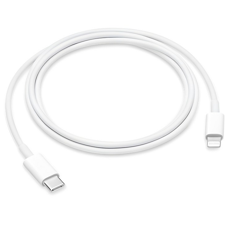 Apple 정품 LightningC타입 충전 케이블