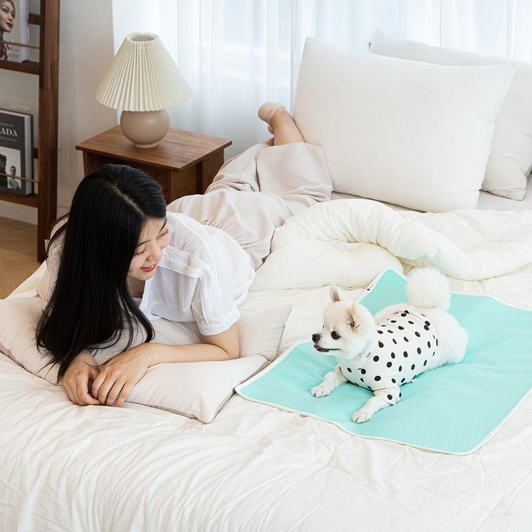 루플리 에코패드 초대형 XL 1장 빨아쓰는 배변패드 친환경 다회용 강아지 논슬립 루플리 에코패드 초대형 XL 1장 빨아쓰는 배변패드 친환경 다회용 강아지 논슬립