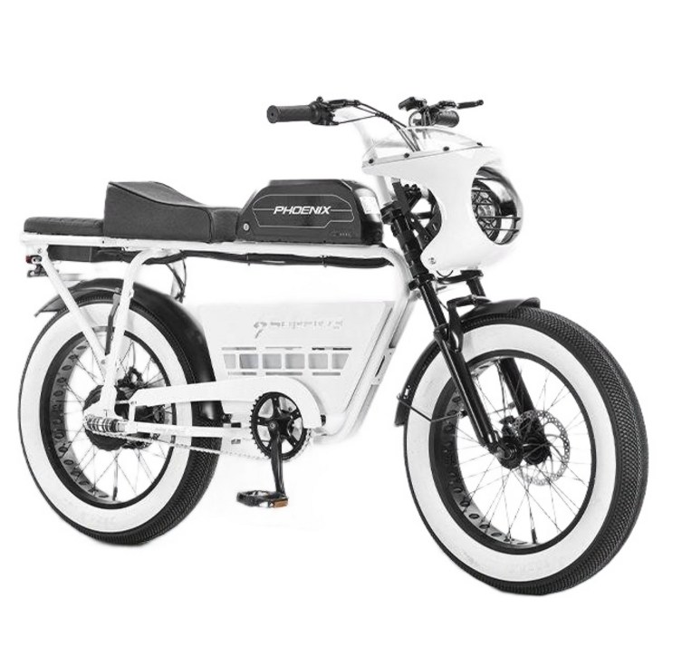 피닉스 RX s1 전기 자전거 bs슬릭 픽시 전기자전거 전기자전거추천, S1 복각 플래그십판 이중유 디스크 브레이크  방수, 48V